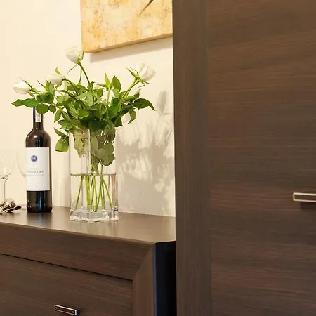 Tso Parkowa Polana Apartment *