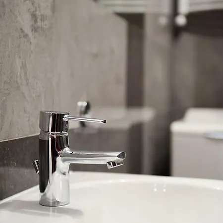 Tso Parkowa Polana Apartment Bad Altheide